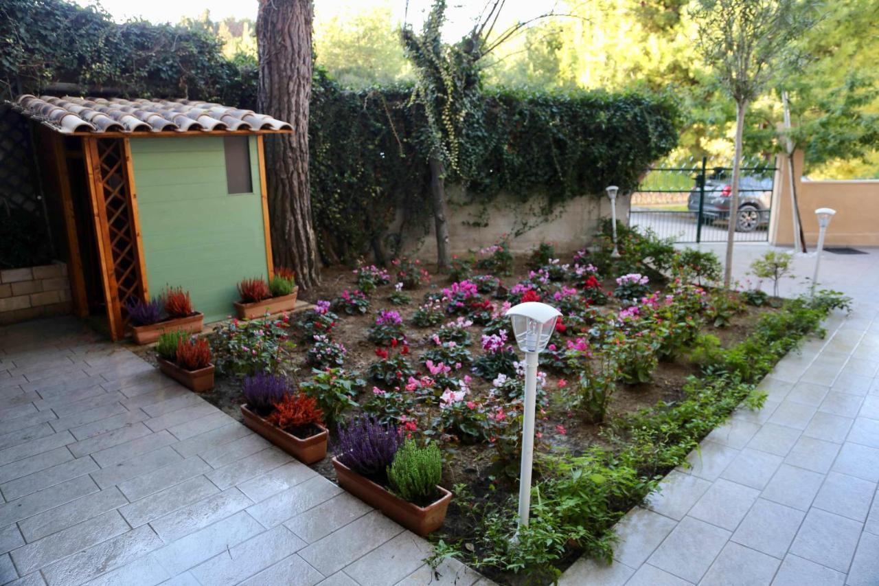 La Casa Di Nonno Giulio Bed and Breakfast Porto SantʼElpidio Buitenkant foto